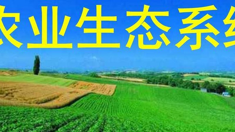 智慧农业种植系统：揭秘其规格型号与选型逻辑