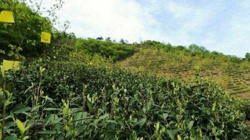 农民合作社注册审批时间到底要多久