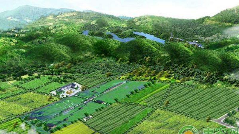 四川农技站：守护农业生产的坚实后盾