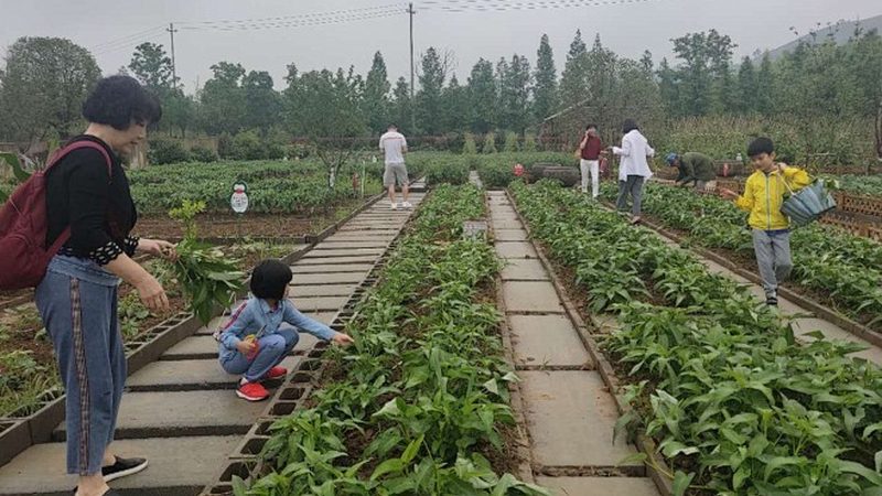 北京技术有限公司