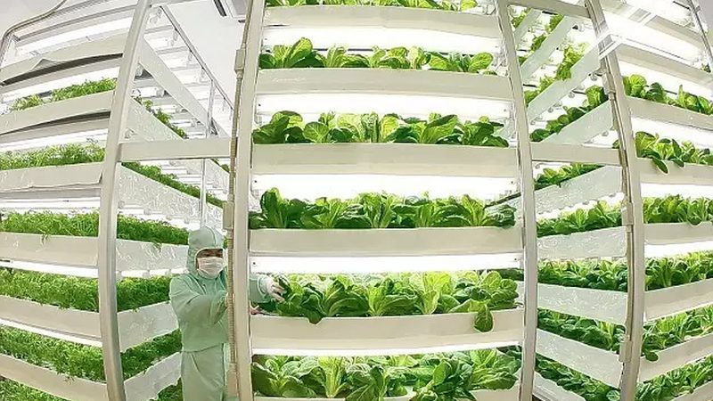 大棚保温被：揭秘其保温原理与选购要点