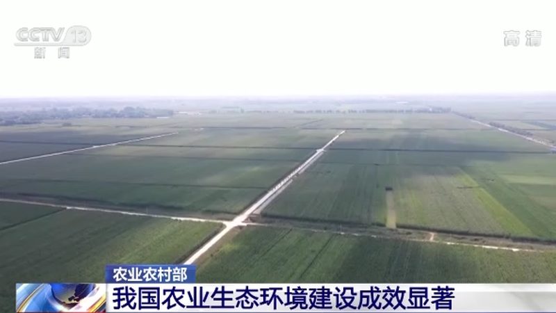 农场亲子民宿，开启与自然共融的亲子时光