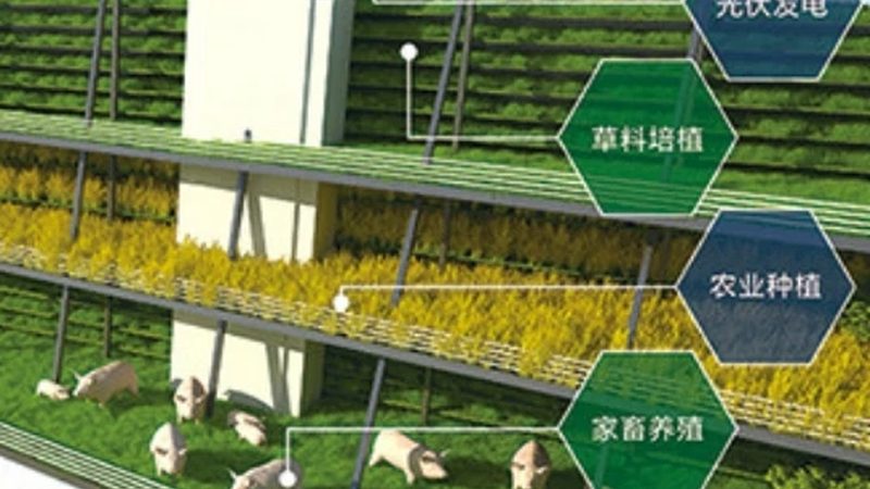 绿色食品申报材料清单