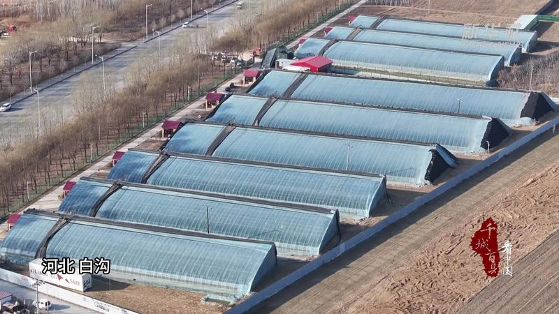 现代农业园区规划设计：打造高效农业的未来蓝图