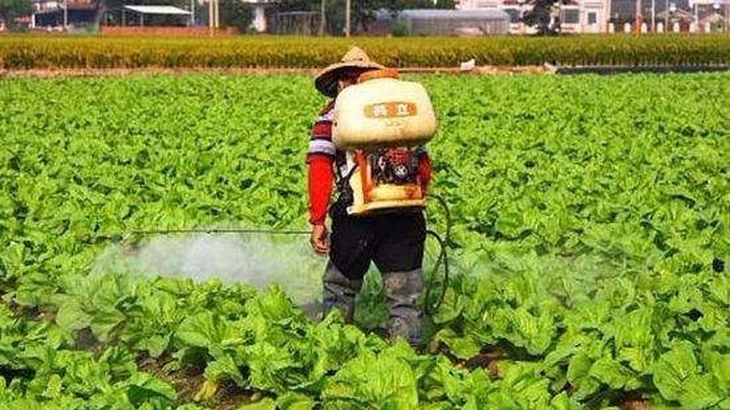 农资产品区域代理价格，如何合理评估与选择？**