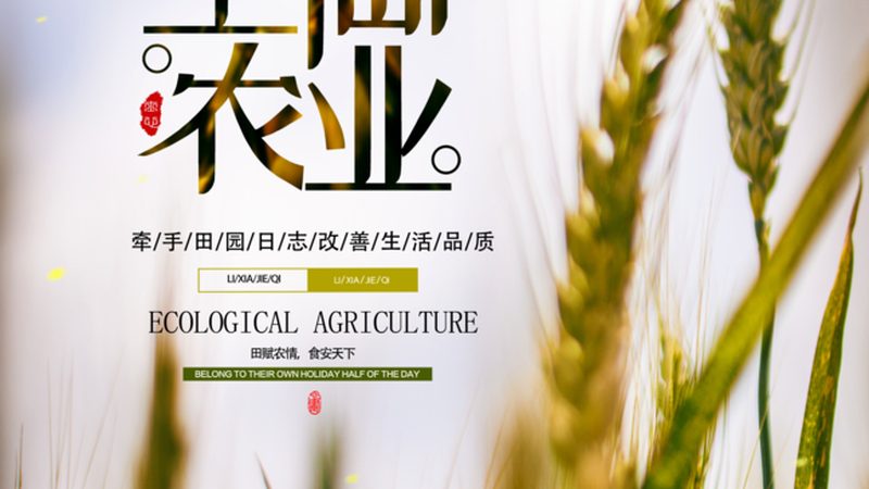 农产品产地直发：一手货源批发，如何确保品质与合规性？**